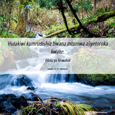 Picture 06 - Torati 23:15 SWHULB - Hutakiwi kumrudishia bwana mtumwa aliyetoroka - Bible Verse Picture