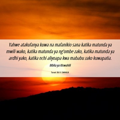 Picture 06 - Torati 28:11 SWHULB - Yahwe atakufanya kuwa na mafanikio sana katika - Bible Verse Picture