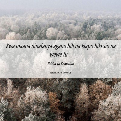 Picture 06 - Torati 29:14 SWHULB - Kwa maana ninafanya agano hili na kiapo hiki sio - Bible Verse Picture