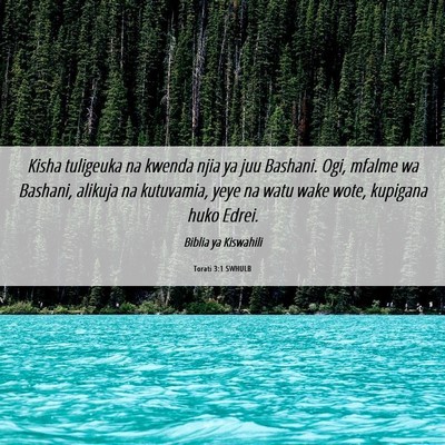 Picture 06 - Torati 3:1 SWHULB - Kisha tuligeuka na kwenda njia ya juu Bashani. - Bible Verse Picture