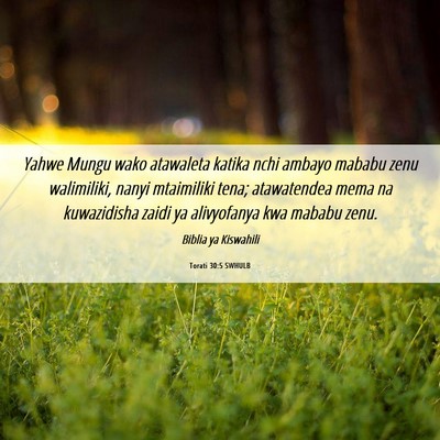 Picture 06 - Torati 30:5 SWHULB - Yahwe Mungu wako atawaleta katika nchi ambayo - Bible Verse Picture