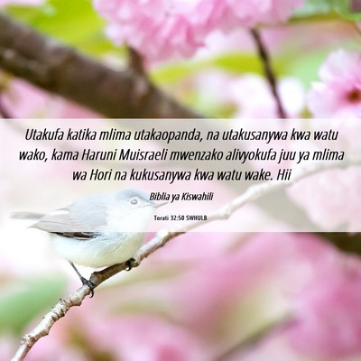 Picture 06 - Torati 32:50 SWHULB - Utakufa katika mlima utakaopanda, na utakusanywa - Bible Verse Picture