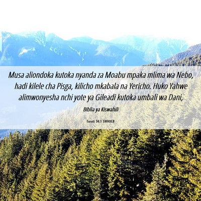 Picture 06 - Torati 34:1 SWHULB - Musa aliondoka kutoka nyanda za Moabu mpaka mlima - Bible Verse Picture