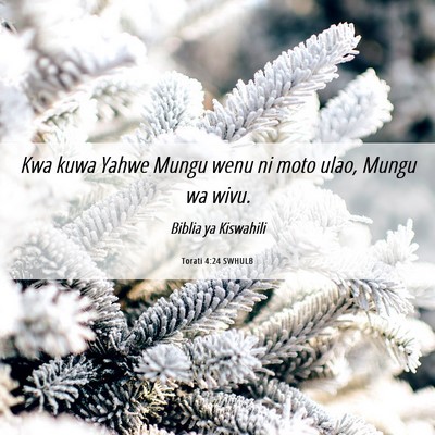 Picture 06 - Torati 4:24 SWHULB - Kwa kuwa Yahwe Mungu wenu ni moto ulao, Mungu wa - Bible Verse Picture