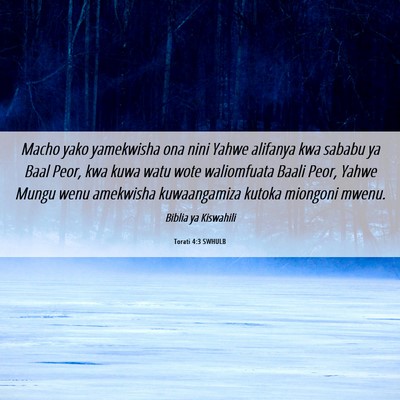 Picture 06 - Torati 4:3 SWHULB - Macho yako yamekwisha ona nini Yahwe alifanya kwa - Bible Verse Picture