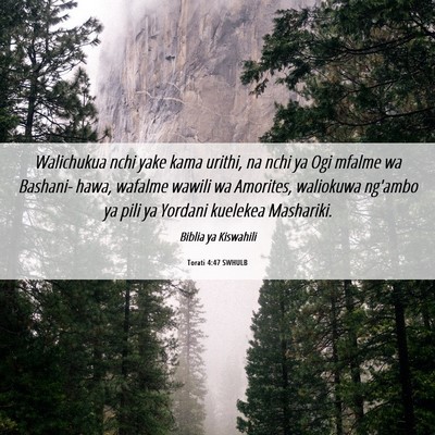 Picture 06 - Torati 4:47 SWHULB - Walichukua nchi yake kama urithi, na nchi ya Ogi - Bible Verse Picture