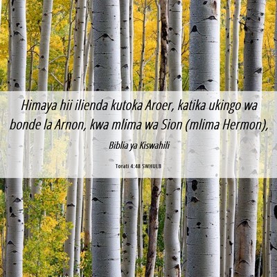 Picture 06 - Torati 4:48 SWHULB - Himaya hii ilienda kutoka Aroer, katika ukingo wa - Bible Verse Picture
