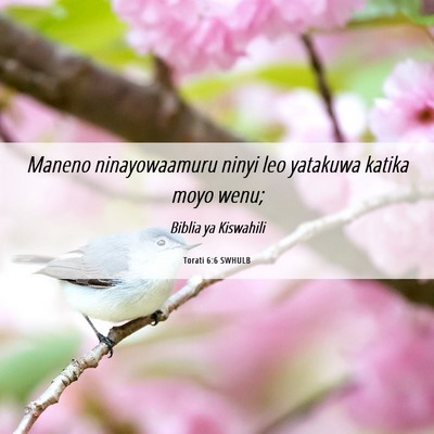 Picture 06 - Torati 6:6 SWHULB - Maneno ninayowaamuru ninyi leo yatakuwa katika - Bible Verse Picture