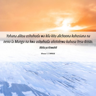 Picture 06 - Ufunuo 1:2 SWHULB - Yohana alitoa ushuhuda wa kila kitu alichoona - Bible Verse Picture