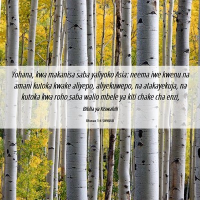 Picture 06 - Ufunuo 1:4 SWHULB - Yohana, kwa makanisa saba yaliyoko Asia: neema - Bible Verse Picture