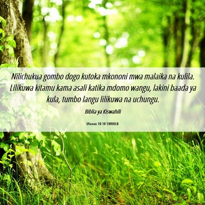 Picture 06 - Ufunuo 10:10 SWHULB - Nilichukua gombo dogo kutoka mkononi mwa malaika - Bible Verse Picture