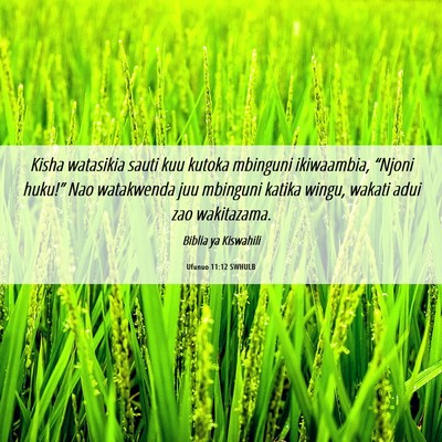 Picture 06 - Ufunuo 11:12 SWHULB - Kisha watasikia sauti kuu kutoka mbinguni - Bible Verse Picture