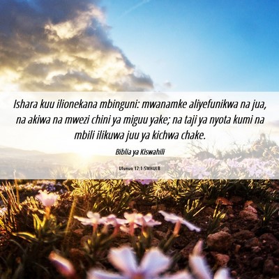 Picture 06 - Ufunuo 12:1 SWHULB - Ishara kuu ilionekana mbinguni: mwanamke - Bible Verse Picture