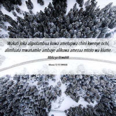 Picture 06 - Ufunuo 12:13 SWHULB - Wakati joka alipotambua kuwa ametupwa chini - Bible Verse Picture