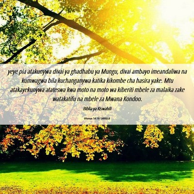 Picture 06 - Ufunuo 14:10 SWHULB - yeye pia atakunywa divai ya ghadhabu ya Mungu, - Bible Verse Picture
