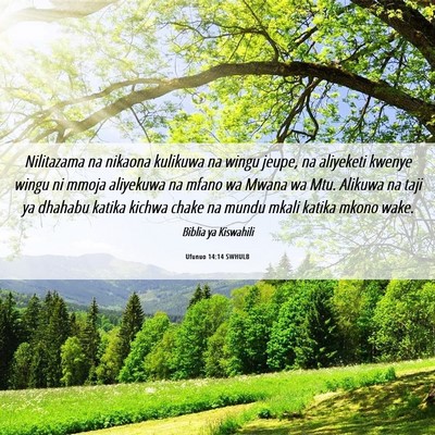 Picture 06 - Ufunuo 14:14 SWHULB - Nilitazama na nikaona kulikuwa na wingu jeupe, na - Bible Verse Picture