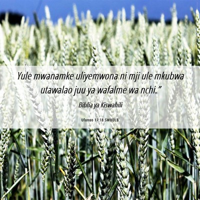 Picture 06 - Ufunuo 17:18 SWHULB - Yule mwanamke uliyemwona ni mji ule mkubwa - Bible Verse Picture