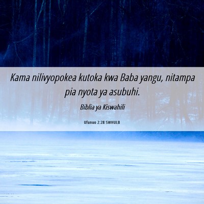 Picture 06 - Ufunuo 2:28 SWHULB - Kama nilivyopokea kutoka kwa Baba yangu, nitampa - Bible Verse Picture