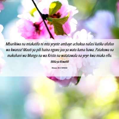 Picture 06 - Ufunuo 20:6 SWHULB - Mbarikiwa na mtakatifu ni mtu yeyote ambaye - Bible Verse Picture