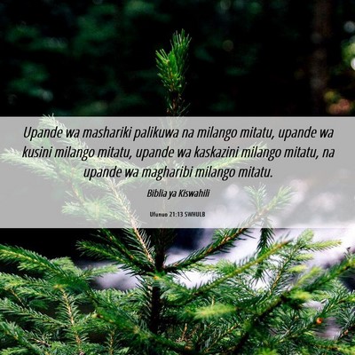 Picture 06 - Ufunuo 21:13 SWHULB - Upande wa mashariki palikuwa na milango mitatu, - Bible Verse Picture
