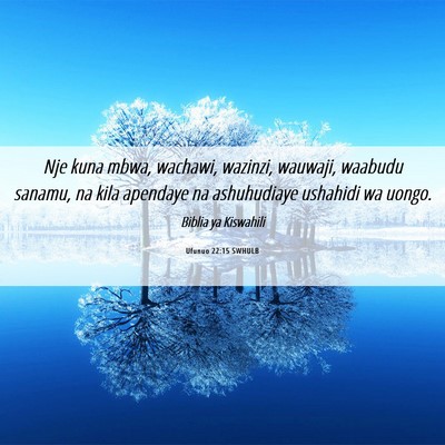 Picture 06 - Ufunuo 22:15 SWHULB - Nje kuna mbwa, wachawi, wazinzi, wauwaji, waabudu - Bible Verse Picture