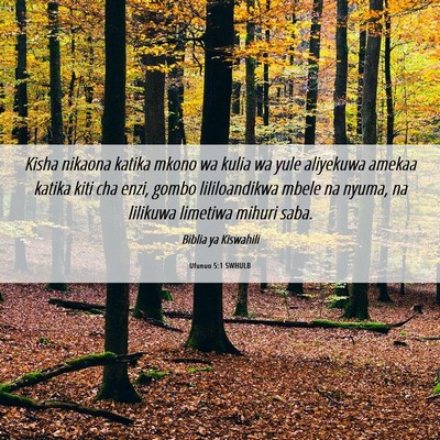 Picture 06 - Ufunuo 5:1 SWHULB - Kisha nikaona katika mkono wa kulia wa yule - Bible Verse Picture
