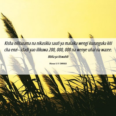 Picture 06 - Ufunuo 5:11 SWHULB - Kisha nilitazama na nikasikia sauti ya malaika - Bible Verse Picture