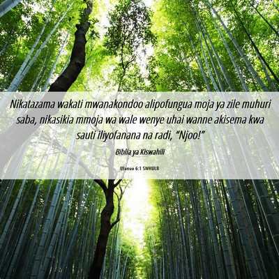 Picture 06 - Ufunuo 6:1 SWHULB - Nikatazama wakati mwanakondoo alipofungua moja ya - Bible Verse Picture