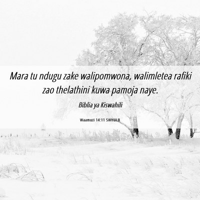 Picture 06 - Waamuzi 14:11 SWHULB - Mara tu ndugu zake walipomwona, walimletea rafiki - Bible Verse Picture