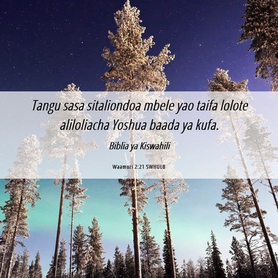 Picture 06 - Waamuzi 2:21 SWHULB - Tangu sasa sitaliondoa mbele yao taifa lolote - Bible Verse Picture