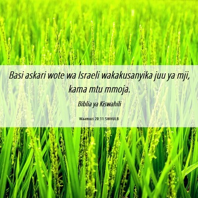 Picture 06 - Waamuzi 20:11 SWHULB - Basi askari wote wa Israeli wakakusanyika juu ya - Bible Verse Picture