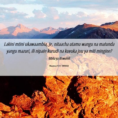 Picture 06 - Waamuzi 9:11 SWHULB - Lakini mtini ukawaambia, Je, nitaacha utamu wangu - Bible Verse Picture