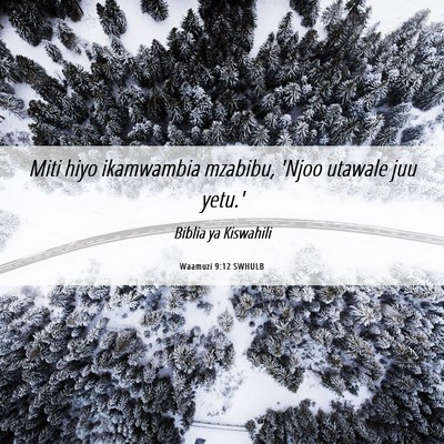 Picture 06 - Waamuzi 9:12 SWHULB - Miti hiyo ikamwambia mzabibu, 'Njoo utawale juu - Bible Verse Picture