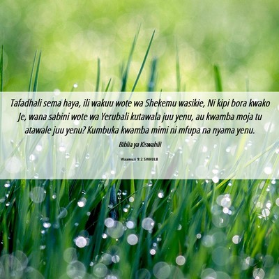 Picture 06 - Waamuzi 9:2 SWHULB - Tafadhali sema haya, ili wakuu wote wa Shekemu - Bible Verse Picture