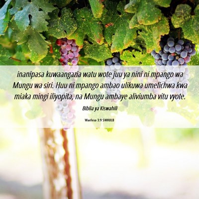 Picture 06 - Waefeso 3:9 SWHULB - inanipasa kuwaangazia watu wote juu ya nini ni - Bible Verse Picture