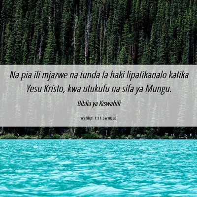 Picture 06 - Wafilipi 1:11 SWHULB - Na pia ili mjazwe na tunda la haki lipatikanalo - Bible Verse Picture