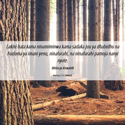 Picture 06 - Wafilipi 2:17 SWHULB - Lakini hata kama ninamiminwa kama sadaka juu ya - Bible Verse Picture