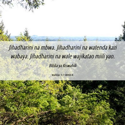 Picture 06 - Wafilipi 3:2 SWHULB - Jihadharini na mbwa. Jihadharini na watenda kazi - Bible Verse Picture