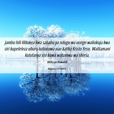 Picture 06 - Wagalatia 2:4 SWHULB - Jambo hili lilitokea kwa sababu ya ndugu wa uongo - Bible Verse Picture