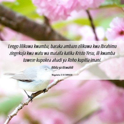 Picture 06 - Wagalatia 3:14 SWHULB - Lengo lilikuwa kwamba, baraka ambazo zilikuwa kwa - Bible Verse Picture