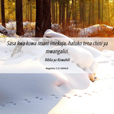 Picture 06 - Wagalatia 3:25 SWHULB - Sasa kwa kuwa imani imekuja, hatuko tena chini ya - Bible Verse Picture