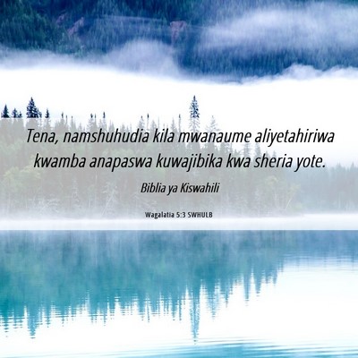 Picture 06 - Wagalatia 5:3 SWHULB - Tena, namshuhudia kila mwanaume aliyetahiriwa - Bible Verse Picture