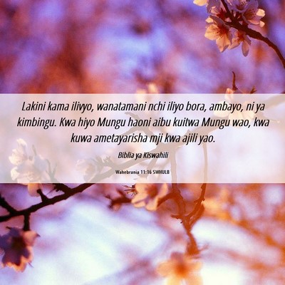 Picture 06 - Wahebrania 11:16 SWHULB - Lakini kama ilivyo, wanatamani nchi iliyo bora, - Bible Verse Picture