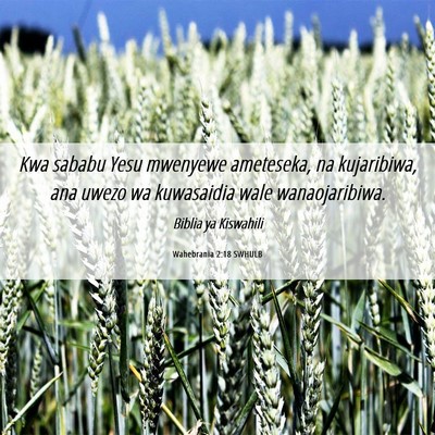 Picture 06 - Wahebrania 2:18 SWHULB - Kwa sababu Yesu mwenyewe ameteseka, na - Bible Verse Picture