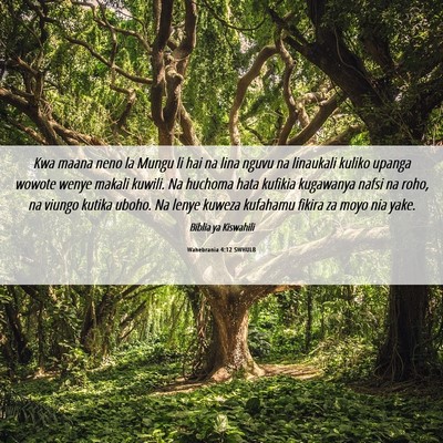 Picture 06 - Wahebrania 4:12 SWHULB - Kwa maana neno la Mungu li hai na lina nguvu na - Bible Verse Picture