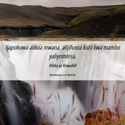 Picture 06 - Wahebrania 5:8 SWHULB - Ijapokuwa alikua mwana, alijifunza kutii kwa - Bible Verse Picture