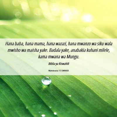 Picture 06 - Wahebrania 7:3 SWHULB - Hana baba, hana mama, hana wazazi, hana mwanzo wa - Bible Verse Picture
