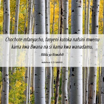 Picture 06 - Wakolosai 3:23 SWHULB - Chochote mfanyacho, fanyeni kutoka nafsini mwenu - Bible Verse Picture