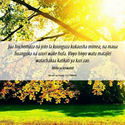 Picture 06 - Waraka wa Yakobo 1:11 SWHULB - Jua huchomoza na joto la kuunguza kukausha mimea, - Bible Verse Picture