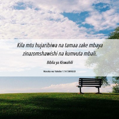 Picture 06 - Waraka wa Yakobo 1:14 SWHULB - Kila mtu hujaribiwa na tamaa zake mbaya - Bible Verse Picture